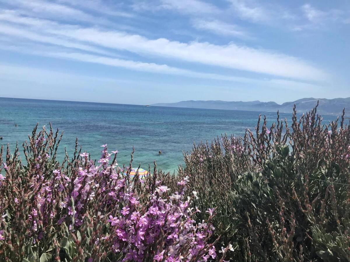 Village Apartment Hersonissos (Crete)