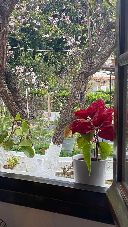 Village Appartement