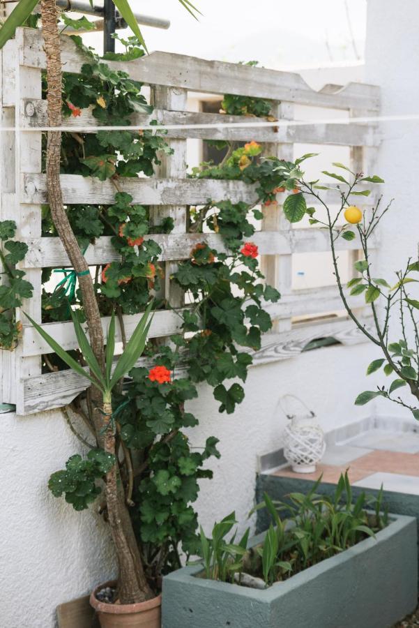 Village Apartment Hersonissos (Crete)